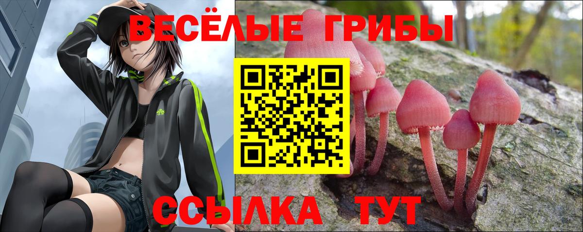 Галлюциногенные грибы MAGIC MUSHROOMS  Псилоцибиновые грибы GOLDEN TEACHER  Вход с VPN  Дмитров 
